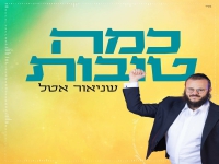 שניאור אטל בסינגל חדש - "כמה טובות"
