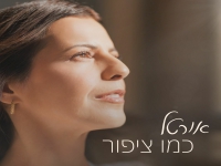 אורטל בסינגל חדש - "כמו ציפור"