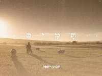 יונתן רזאל בפיוט מחודש - "תמים"