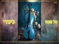 טל צמח בקאבר מחודש - "כינורי"