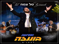 טל צמח בחפלה - "מחרוזת בוננזה לחתנים 2025"