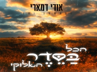 אודי דמארי בסינגל חדש - "הכל בסדר האלוקי"