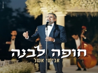 אבישי אשל בבלדת חופות מרגשת - "חופה לבנה"