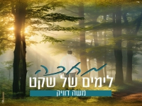 משה דוויק בבלדה מרגשת - "מחכה לימים של שקט"