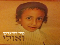 שיר דוד גדסי בסינגל חדש - "ואולי"