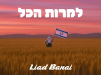 ליעד בנאי בסינגל חדש - "למרות הכל"