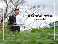 אלחנן טסה בסינגל חדש - "בואי בשלום"
