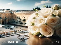אליה מגן בקאבר מחודש - "מה שהלב בחר"