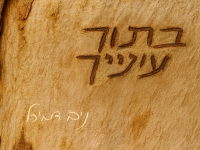 ניב דמירל בקאבר מחודש - "בתוך עינייך"