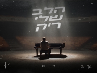 לי ים בקאבר מחודש - "הלב שלי ריק"