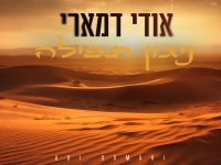 אודי דמארי בסינגל חדש - "ניגון תפילה"