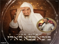 שלום ממן שר לכבוד הצדיק בבא סאלי - "ביבא בבא סאלי"