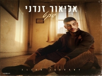 אליאור זנדני בקאבר מחודש - "שקט"