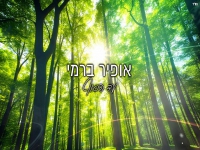 אופיר ברמי בסינגל חדש - "עד הסוף"