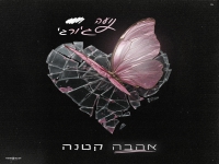 נועה ג'ורג' בקאבר מחודש - "אהבה קטנה"