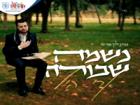ארי היל בסינגל חדש - "נשמה שבורה"