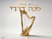 רועי סנדלר בסינגל חדש - "לכה דודי"