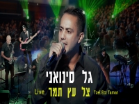 גל סינואני לייב 2025 - "צל עץ תמר"