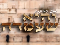 מתן חבקוק בפיוט מחודש - "והיא שעמדה"