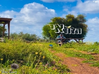 אליה לוי בקאבר מחודש - "הלוואי"