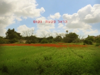 הראל סקעת בבלדה מרגשת - "נקום"