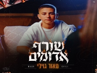 מאור גוילי פורץ בבלדה מרגשת - "שורף אדומים"