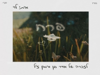 איתי לוי שר יהודה פוליקר - "פרח"