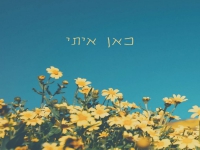 אופיר כלב בסינגל חדש - "כאן איתי"