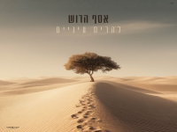 אסף הרוש בסינגל חדש - "להרים עיניים"