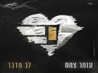 עומר צמח בסינגל חדש - "לב מדבר"