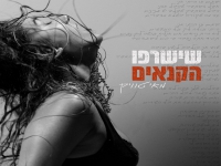 מאי טוויק בסינגל חדש - "שישרפו הקנאים"