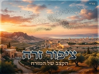 הקצב של המזרח בקאבר מחודש - "ציפור זרה"