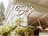 שיר לוי בקאבר מחודש - "פרחים מנייר"