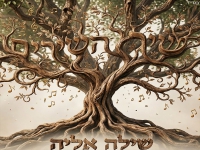 שילה אליה בסינגל חדש - "שיר השירים"