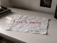 עלאי כץ בסינגל חדש - "זורמת לי בדם"
