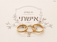 זיו בוסידן בקאבר מחודש - "אישתי"