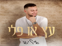 אייל ישי בסינגל חדש - "עץ או פלי"