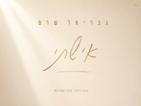 גבריאל שרם בקאבר מחודש - "אישתי"