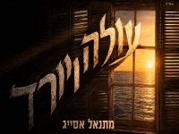 מתנאל אסייג בסינגל חדש - "עולה ויורד"