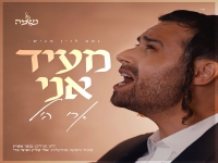 ארי היל בסינגל חדש - "מעיד אני"