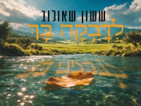 ששון שאולוב בסינגל חדש - "לדבקה בך"
