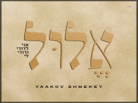 יעקב שוואקי בסינגל חדש - "אלול"