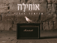 אליאור זנדני בסינגל חדש - "אוחילה"