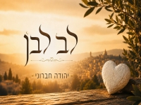 יהודה חברוני בקאבר מחודש - "לב לבן"