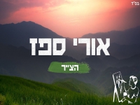 אורי ספז בקאבר מחודש - "הצייר"