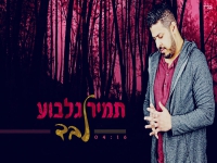תמיר גלבוע בסינגל חדש - "לבד"