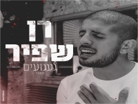 רן שפיר בקאבר מחודש - "געגועים"