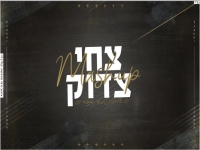 צחי צדוק בקאבר מחודש - "שוב חוזרת & עד שתמצאי"