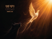 אביב השאש בסינגל חדש - "היונה שבך"