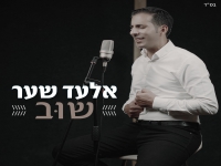 אלעד שער בבלדה מרגשת - "שוב"